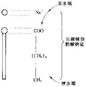 表面活性剂的分子结构 表面活性剂的分子结构