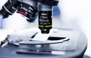 高性能专用催化剂解决高水含量聚氨酯发泡过程中容易出现的烧芯及塌泡现象